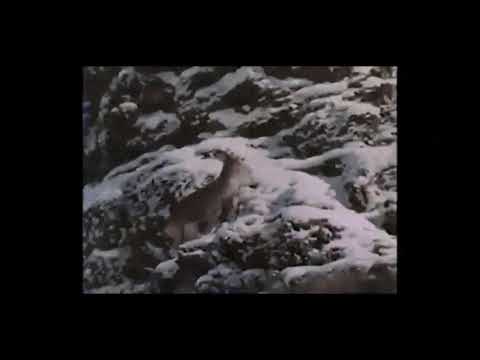 OLEXESH - BLOCK FT.  HELLYES, JOKER BRA (slowed + reverb to perfection)