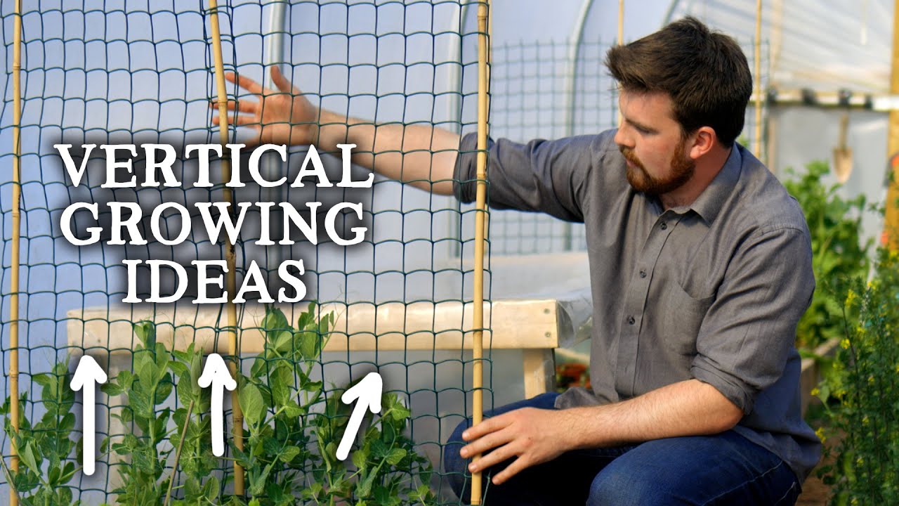 EASY Trellis & Vertical Ideas for Growing Food