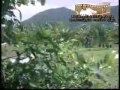 ILAYARAJA MELODY SONG VASALILAE POOSANIPOOSENBAGAME SENBHGAMERAMARAJAN REKHA