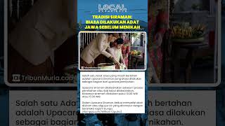 Inilah Tradisi yang Biasa Dilakukan Adat Jawa sebelum Melaksanakan Pernikahan