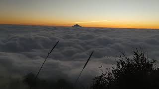 Download lagu Story wa pendaki gunung 2021 mp3