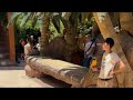 LIVE Parrot Show From Lanzarote SPAIN