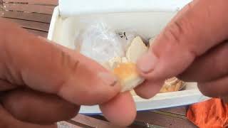 How to Use Bread to Catch Carp