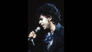 Electric intercourse - Prince (Unreleased Song)