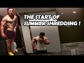 THE START OF SUMMER SHREDDING 2018 (physique update)