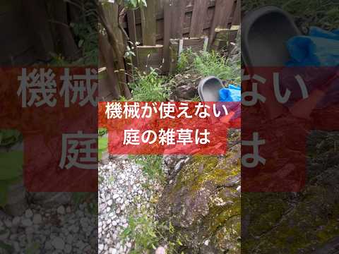 広い場所の除草方法は？雑草を完全かつ迅速に除去する 4 つの自然な方法  庭園