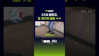 53세 블랑코에게 정중히 '개구리 점프'를 부탁해봤더니 벌어진 일? #JTBC #Shorts