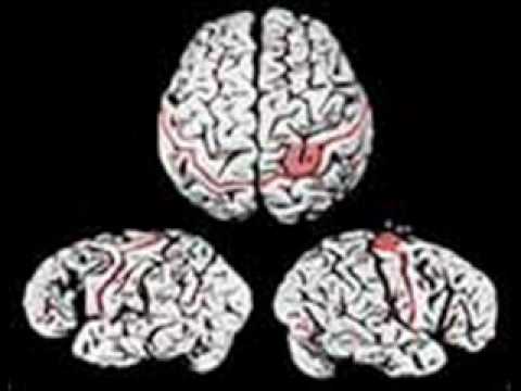 Deemo Konfess-give me(intro).wmv