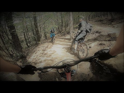 Kalmit Felsenmeer über Ludwigsturm nach Hilschweiher | Pässilä Hamari Mullet