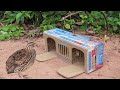 Simple Quick Quail Trap Using Cardboard Box And Woods Creative Unique Bird Trap