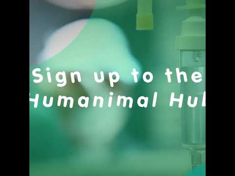 Introducing the Humanimal Hub