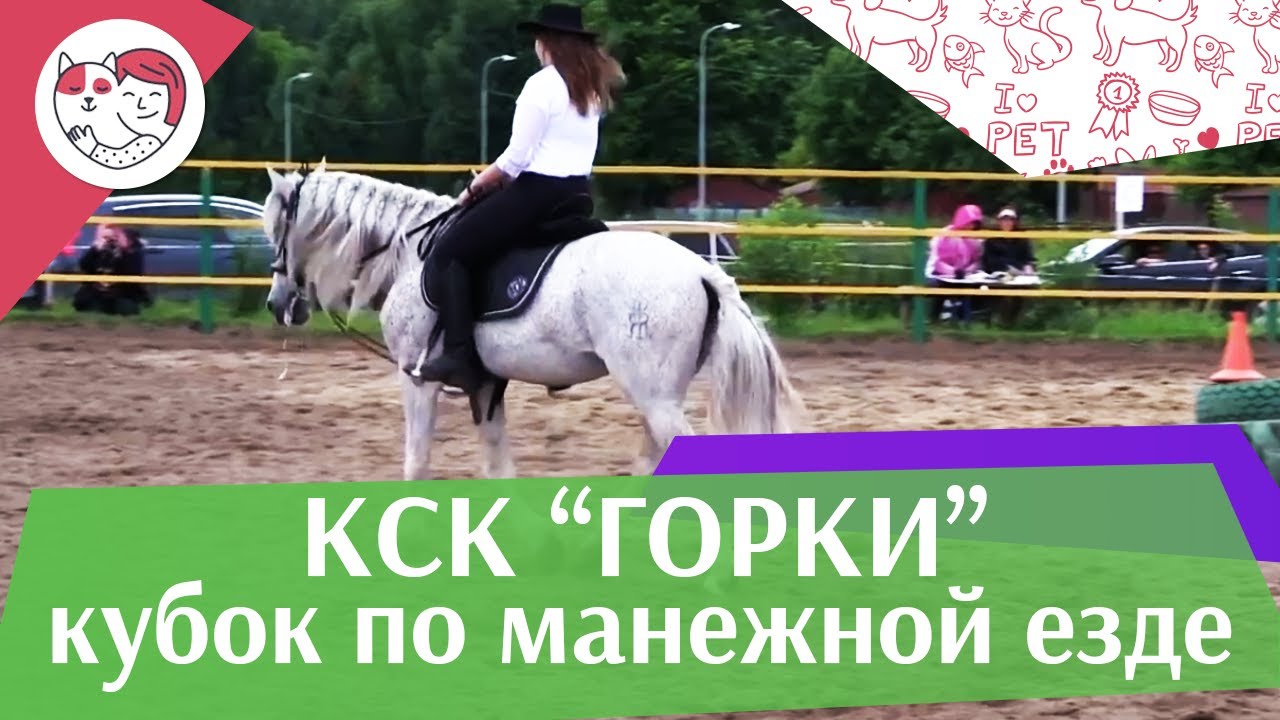 Летний кубок КСК Горки по манежной езде КЮР часть 30 на ilikepet