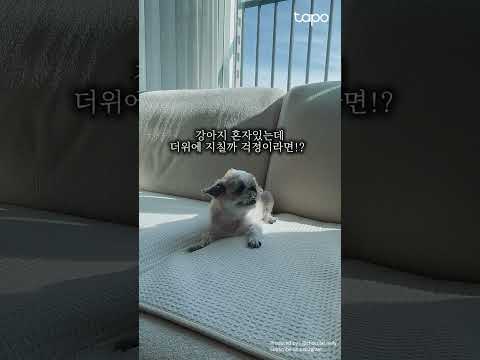 많은 리모컨 한번에 해결해줄 허브 소개시켜쥬야쥬 | Tapo H110