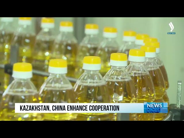 Қазақстан мен Қытай әріптестікті нығайта түсті