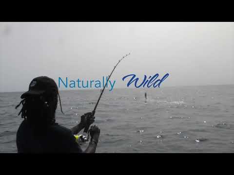 Worcester County, Naturally