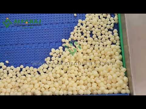 Best Twin Screw Extruder 2025 | أحدث اكسترودر لصناعة سناكس البفك & Corn Snacks