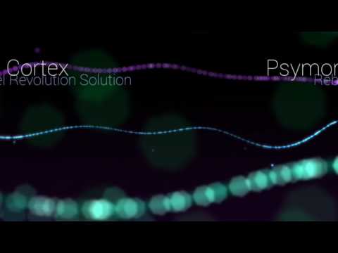 Rebel Revolution Solution