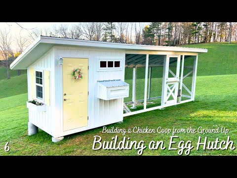 Building an Egg Hutch // Part 6 of Designing and Building a Chicken Coop Series