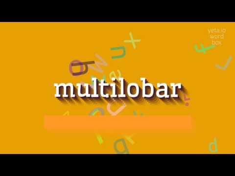 MULTILOBAR - HOW TO PRONOUNCE IT? #multilobar