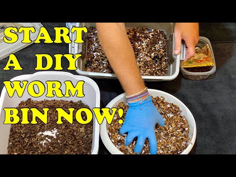 How to Build A Worm Bin | Small Quick & Easy + How Much Food & Bedding to Start With | Vermicompost
