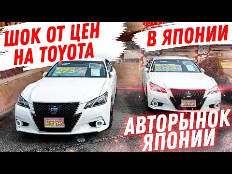 Шок от ЦЕН на TOYOTA в Японии! Авторынок 2020 Зеленый Угол за Тойота Краун Харриер Приус Камри Рав 4