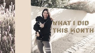 Catching Up | July Vlog (+some news!)