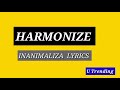Harmonize ft Mr Blue inanimaliza (video Lyrics)