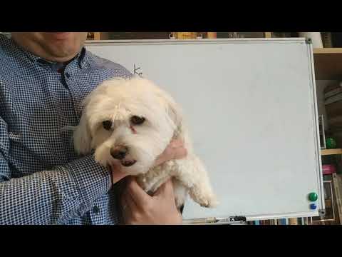 Seminar Factori de producție partea 1