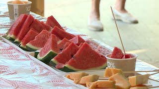 A minőséggel idén sincs gond