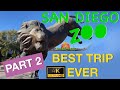 San Diego Zoo Ultimate Experience 4K Part 2 Gazelles Antelope And Polar Bear Plunge