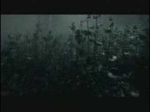 Video thumbnail for ​haZe