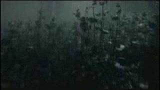 Skinny Puppy - "Haze" SPV Records