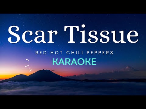 Scar Tissue - Red Hot Chili Peppers (Karaoke)