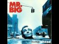 Mr Big The Whole World S Gonna Know Album Version