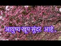 मराठी सुविचार Most Motivation Quotes आयुष्य खूप सुं�
