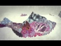 Snorri Helgason - Mockingbird 