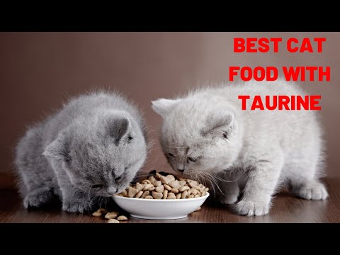 Best Cat Food with Taurine | Foods High in Taurine