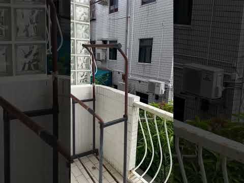 嘉才里 Youtube Video