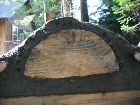 building a cord wood chicken coop