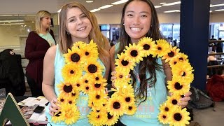Frequently Asked Questions - Alpha Omega Sorority