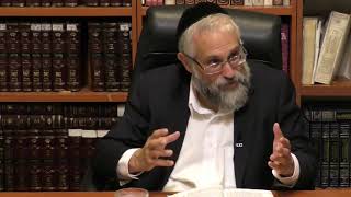Rabbi Citrin on Ramchal's Derech Hashem #7