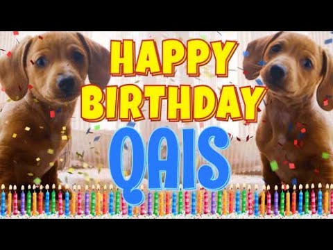 Happy Birthday Qais! ( Funny Talking Dogs ) What Is Free On My Birthday