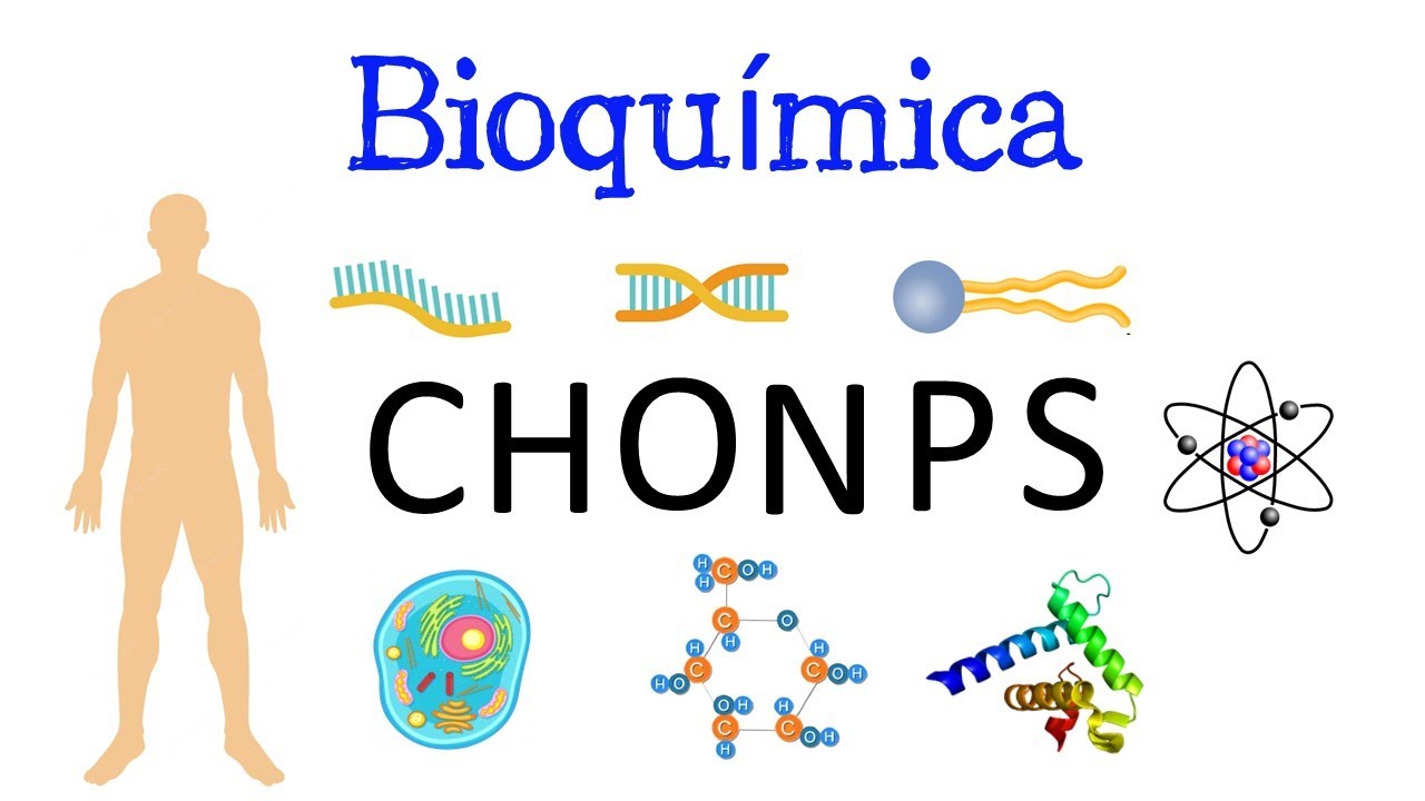 🧬 ¿Qué es la Bioquímica ⚗️ Y su IMPORTANCIA 🧫 [Fácil y Rápido] | BIOLOGÍA | QUÍMICA |