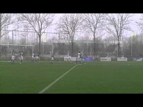 Zeerobben D1- Blauw-Wit D1