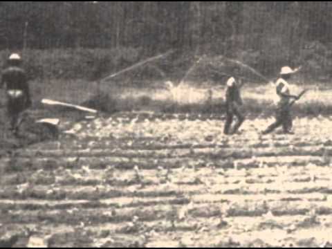 02   CHICO FIRMINO VT DOC