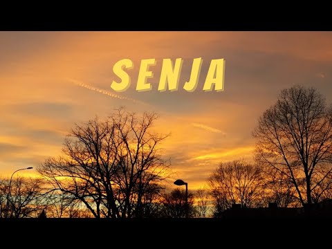 Neo Clan B "SENJA" (Official Video)