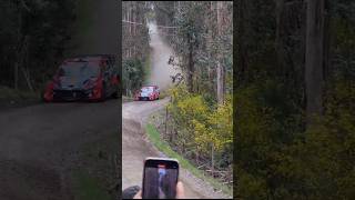 ⚠️Crash Teemu Suninen wrc rally chile 2023#wrc2023