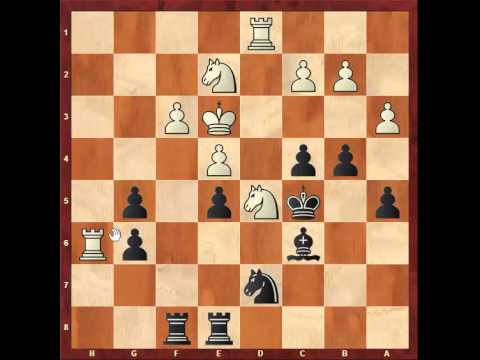 Chess: Closed Sicilian game Ildar Ibragimov 2637 - Susan Polgar 2577 http://sunday.b1u.org ✔️