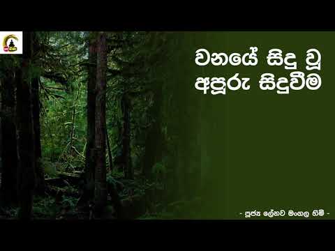 Lenawa Mangala Thero    -9.30PM BANA ධර්ම දක්ෂිණා 2021/01/26