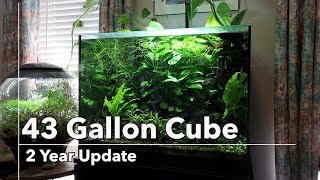 43 Gallon Update : Year 2